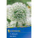 Allium Mont Blanc