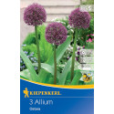 Allium Ostara