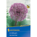 Allium Red Giant Star