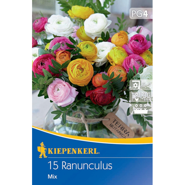 Ranunculus mix multicolor