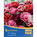 Mega Pack Lalele tip trandafir, mix multicolor