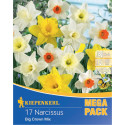 Mega Pack Narcise Giant Crown mix multicolor