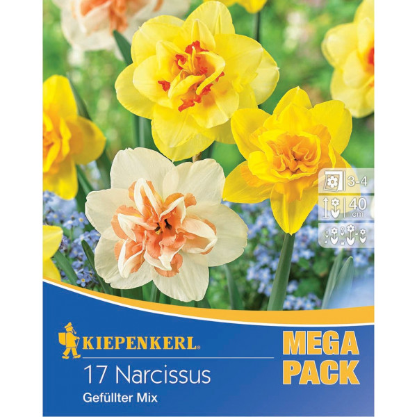 Mega Pack Narcise Double mix multicolor