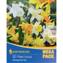 Mega Pack Narcise Rock Garden mix multicolor