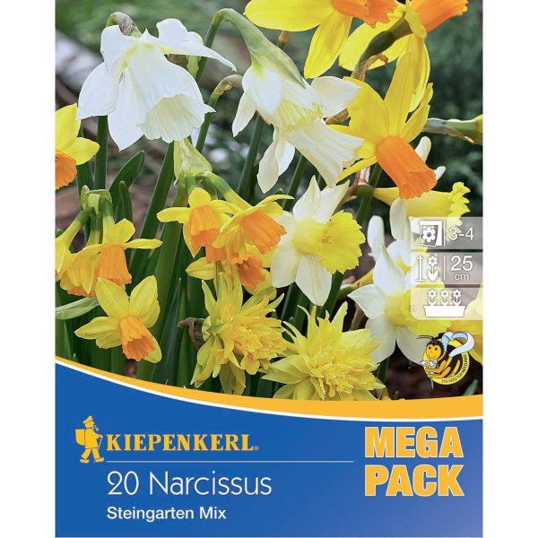 Mega Pack Narcise Rock Garden mix multicolor