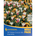 Mega Pack Brândușe Freaky Spring mix multicolor