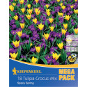 Mega Pack Brândușe Spacy Spring mix multicolor