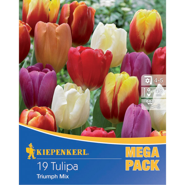 Mega Pack Lalele Triumph mix multicolor