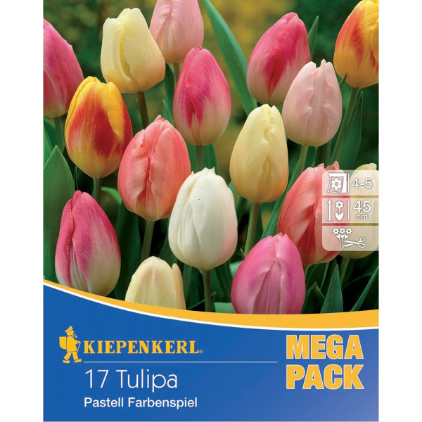 Mega Pack Pastell mix multicolor