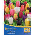 Mega Pack Lalele Cottage mix multicolor