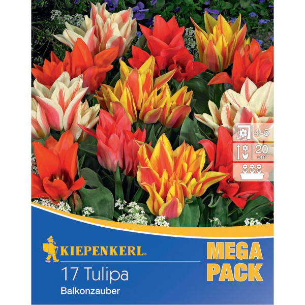 Mega Pack Lalele Balcony Magic mix multicolor