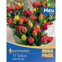 Mega Pack For You mix multicolor