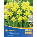 Mega Pack Narcise Tete a Tete