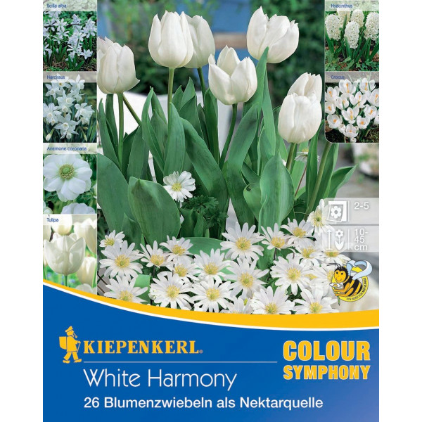 Bulbi de flori White Harmony