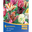 Mega Pack Lalele Papagei mix multicolor