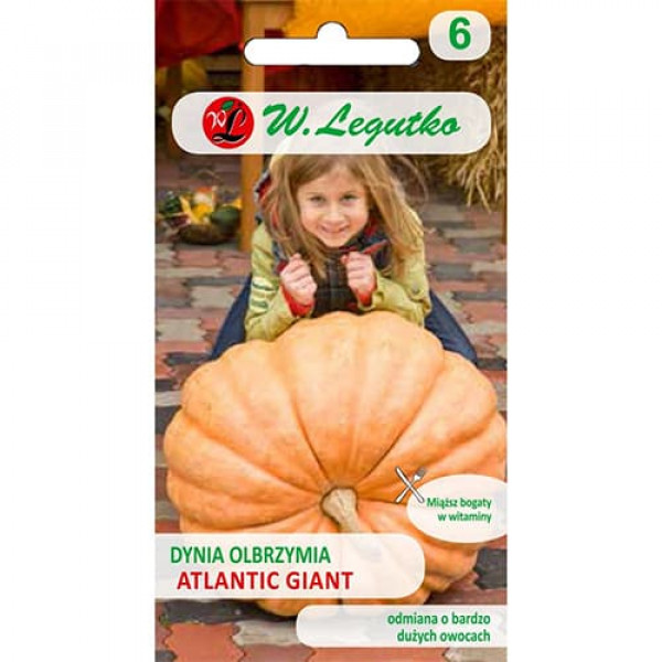 Dovleac gigant Atlantic Giant