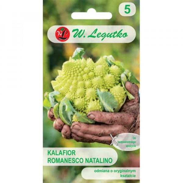 Conopidă Romanesco