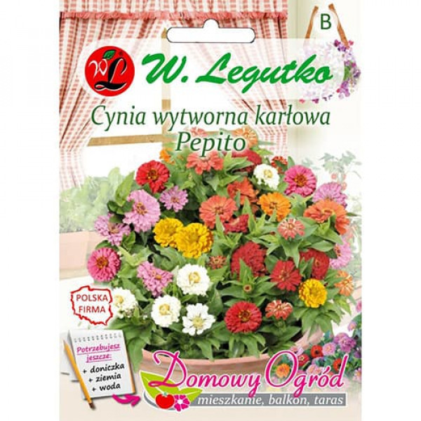 Zinnia Pepito, mix multicolor