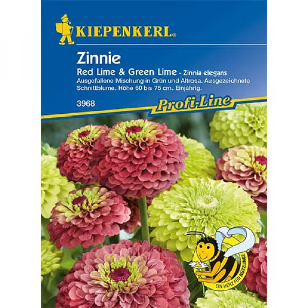 Zinnia (Cârciumăreasă) Red & Green Lime