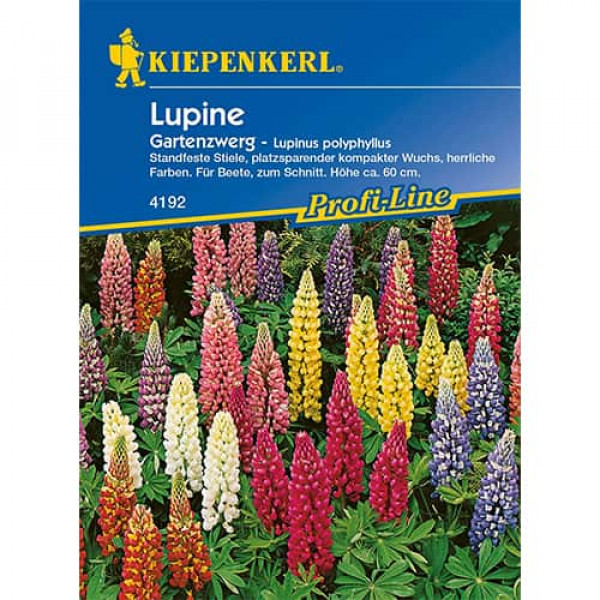 Lupin pitic de grădină