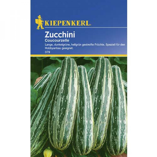 Dovlecel zucchini Courcourcelle von Tripolis