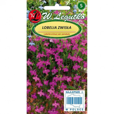 Lobelia curgătoare de ghiveci