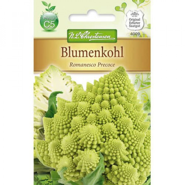 Conopidă Romanesco Precoce