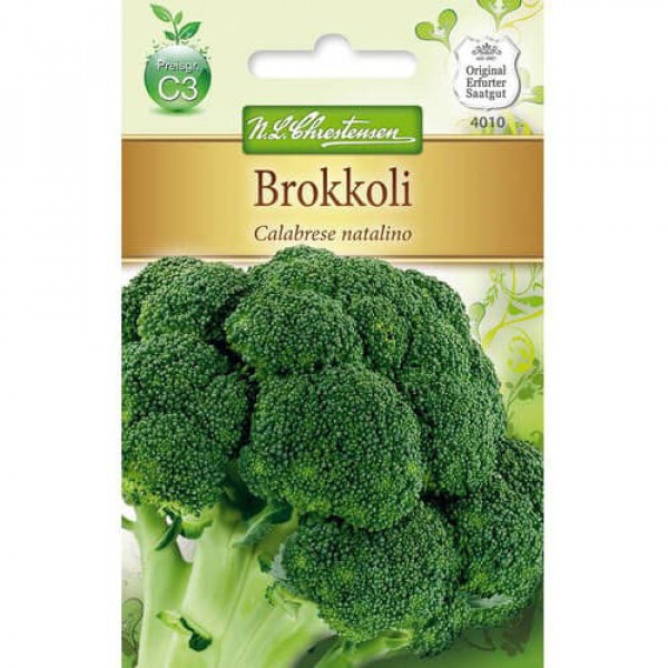 Broccoli Calabrese Natalino