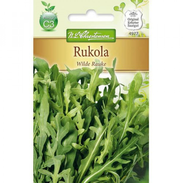 Rucola Wilde Rauke