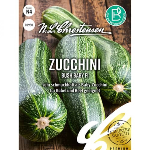 Dovlecel zucchini Bush Baby F1