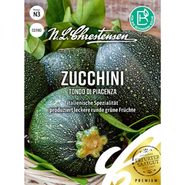 Dovlecel zucchini Tondo di Piacenza