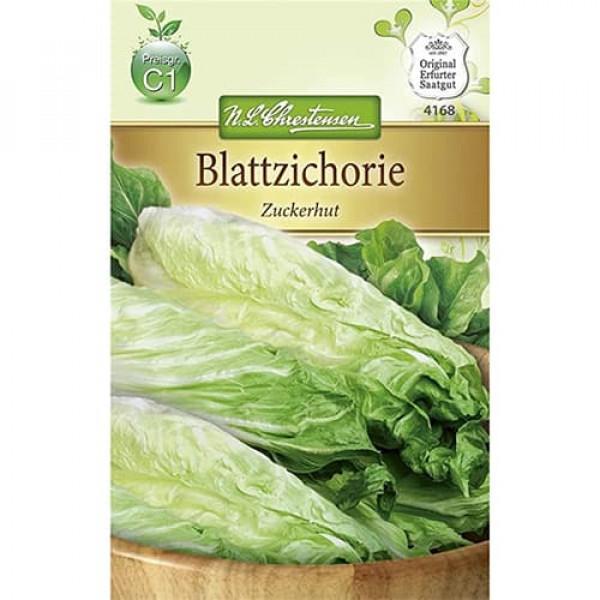 Cicoare albă (radicchio) Zuckerhut