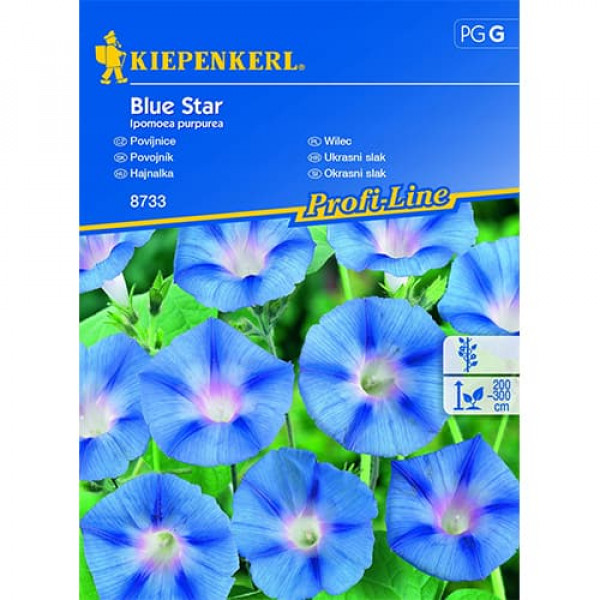 Zorele (Ipomea) Blue Star