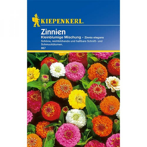 Zinnia (Cârciumăreasă) pitică, mix multicolor