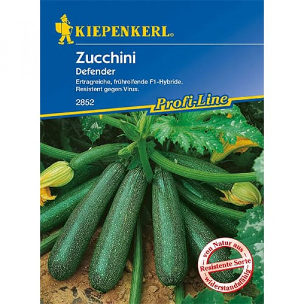 Dovlecel zucchini Defender F1