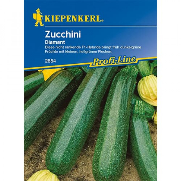 Dovlecel zucchini Diamant