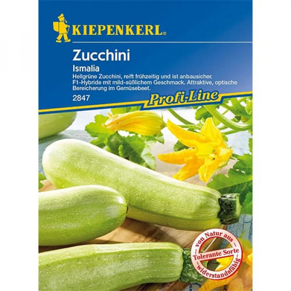 Dovlecel zucchini Ismalia F1