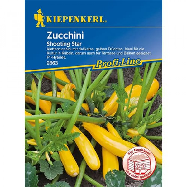 Dovlecel zucchini Shooting Star F1