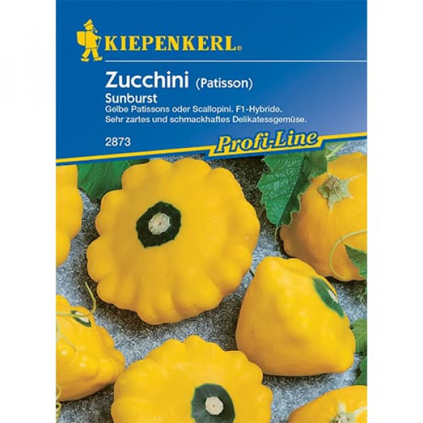 Dovlecel zucchini Sunburst F1