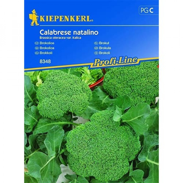 Broccoli Calabrese Natalino