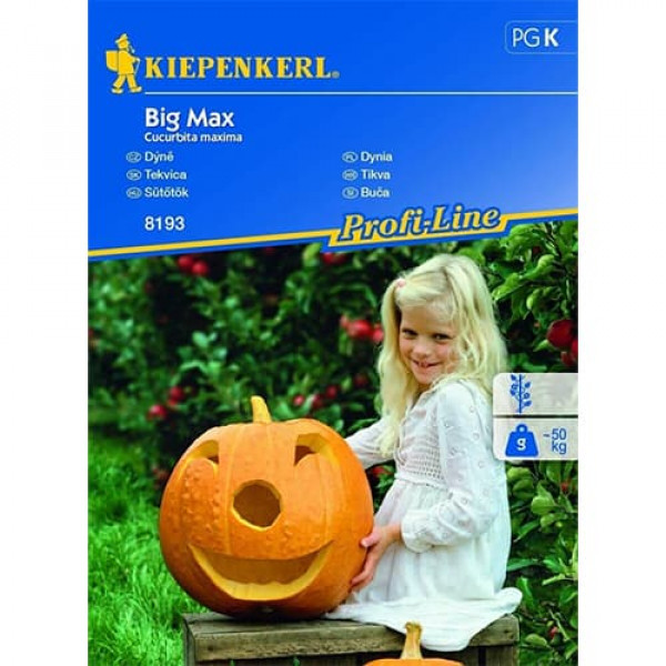 Dovleac Big Max