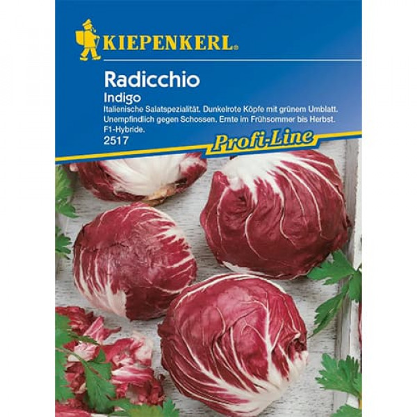 Cicoare roșie (radicchio) Indigo