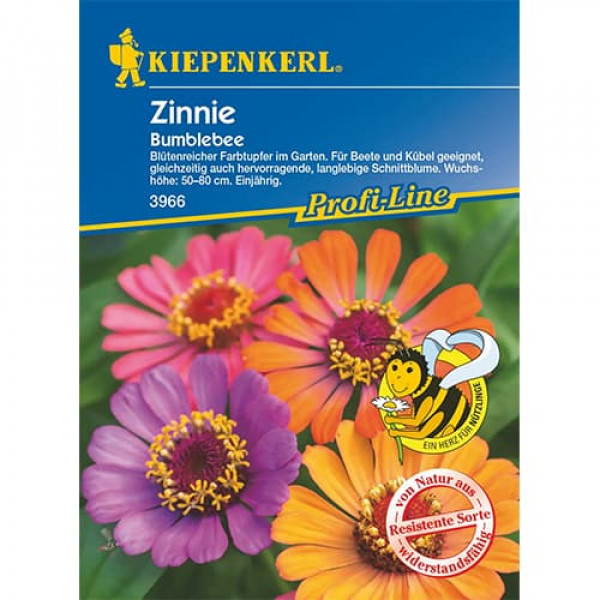 Zinnia (Cârciumăreasă) Bumblebee