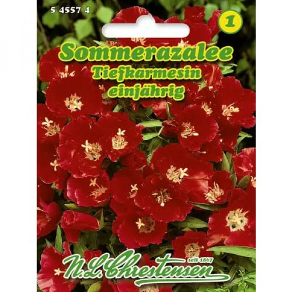 Godetia Deep Crimson