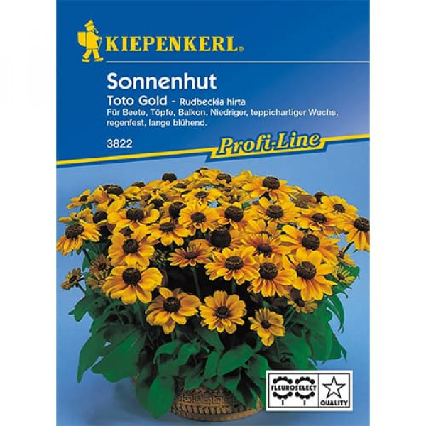 Rudbeckia (Bulgări de soare) Toto