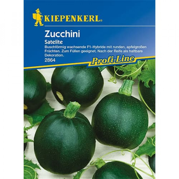 Dovlecel zucchini Satelite