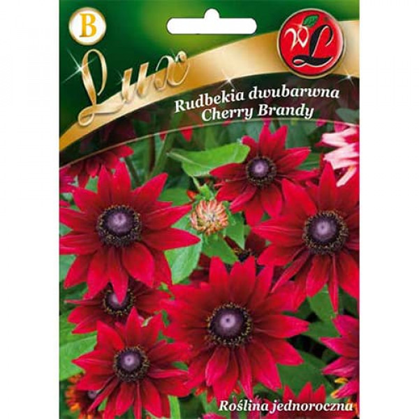 Rudbeckia (Bulgări de soare) Cherry Brandy