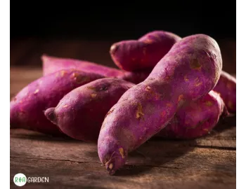 Cartofi de sămânță mov: ce îi face diferiți și de ce merită să îi cultivi