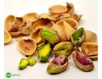 Plantezi fistic? Iată greșeala care te poate lăsa fără producție